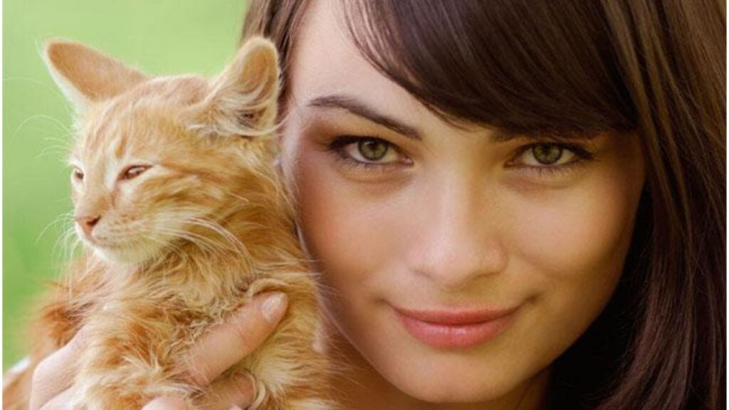 Se ti affidi all'istinto non sbagli mai