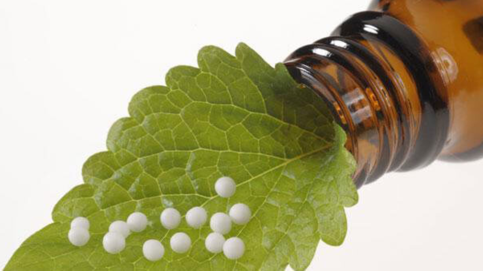 Con uncaria e arsenicum proteggi stomaco e intestino