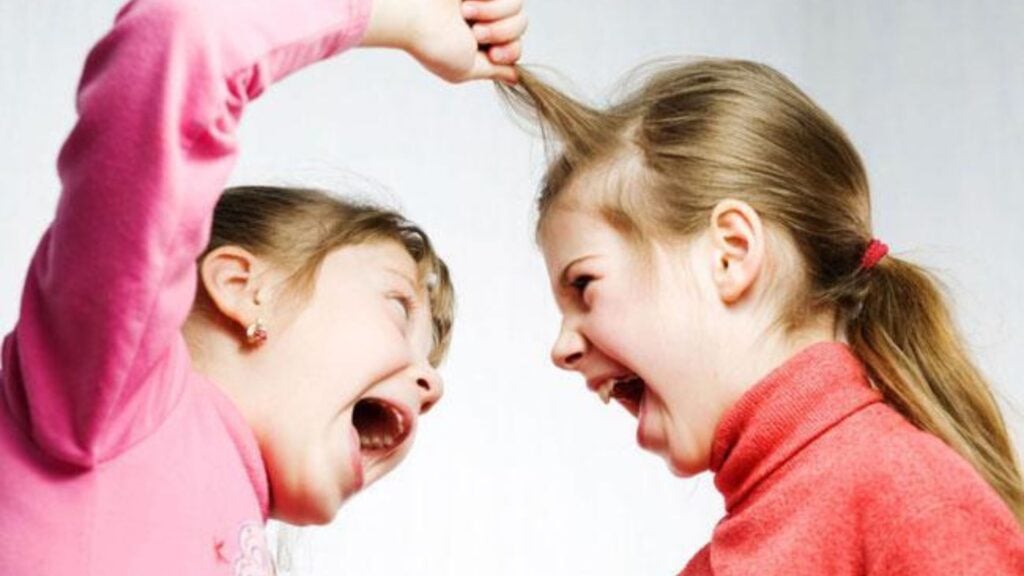 Litigano sempre? Fai così