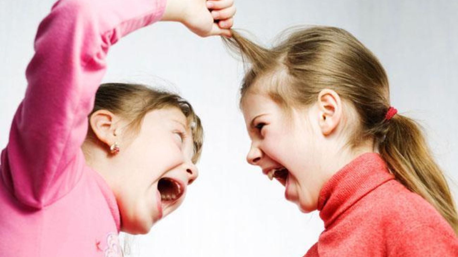 Litigano sempre? Fai così