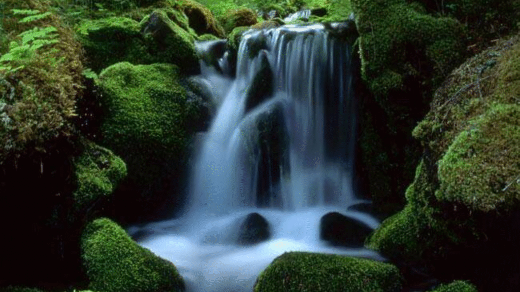 Previeni i disturbi dei reni in tre mosse