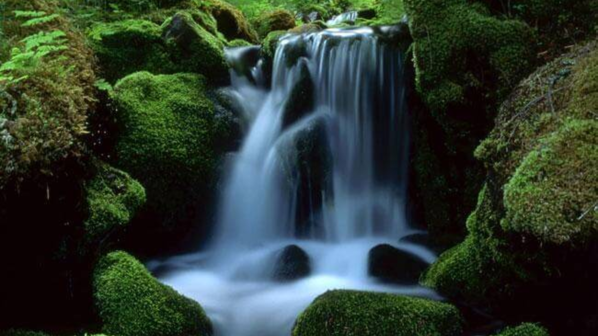 Previeni i disturbi dei reni in tre mosse