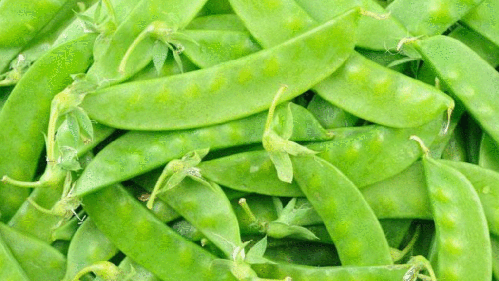 Con le taccole riattivi l'intestino