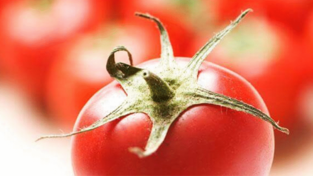 Col pomodoro addio al colesterolo!