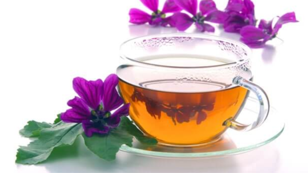 Intestino al riparo con malva e melissa