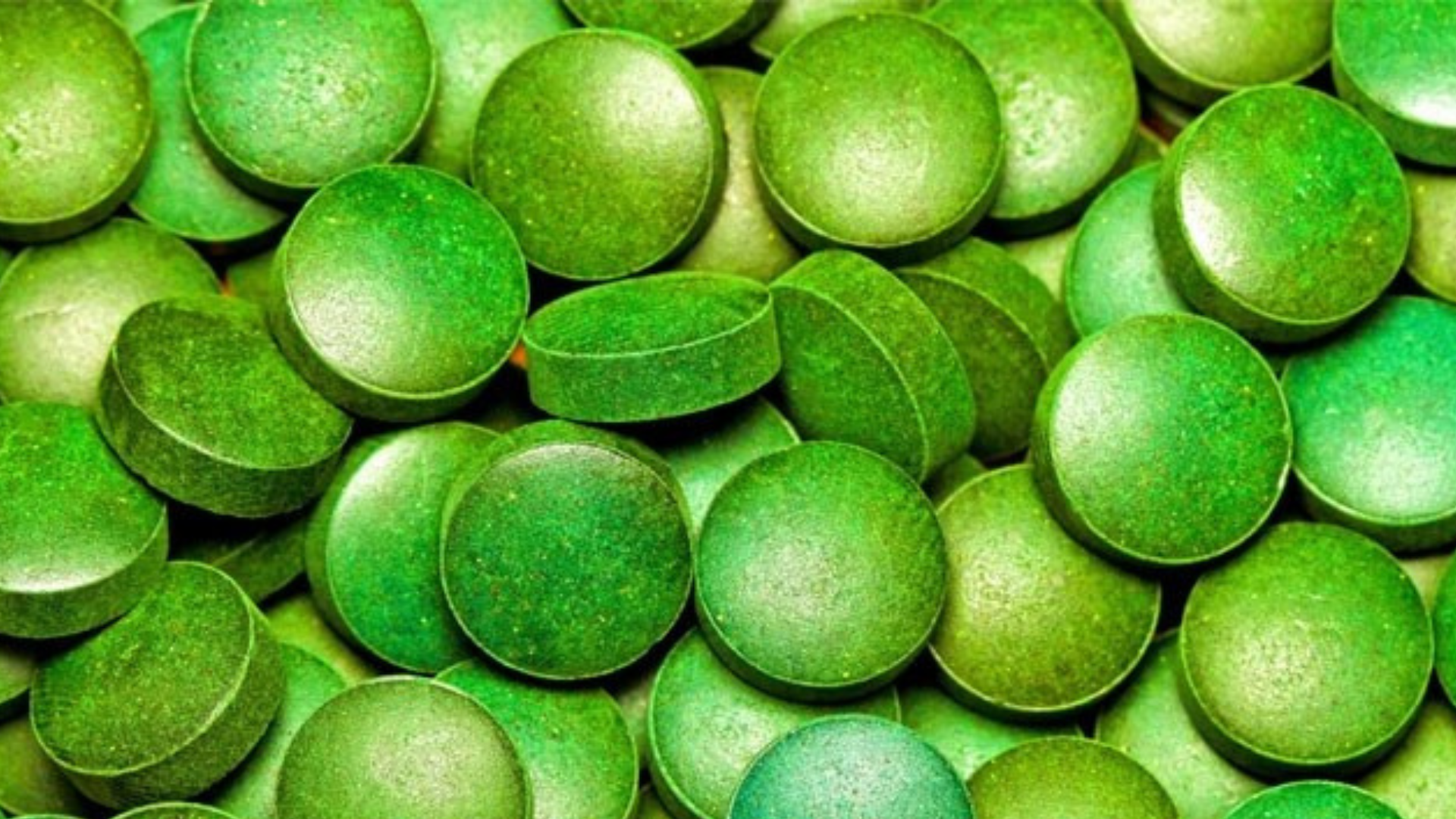 Alga Klamath, elisir per riflessi e metabolismo