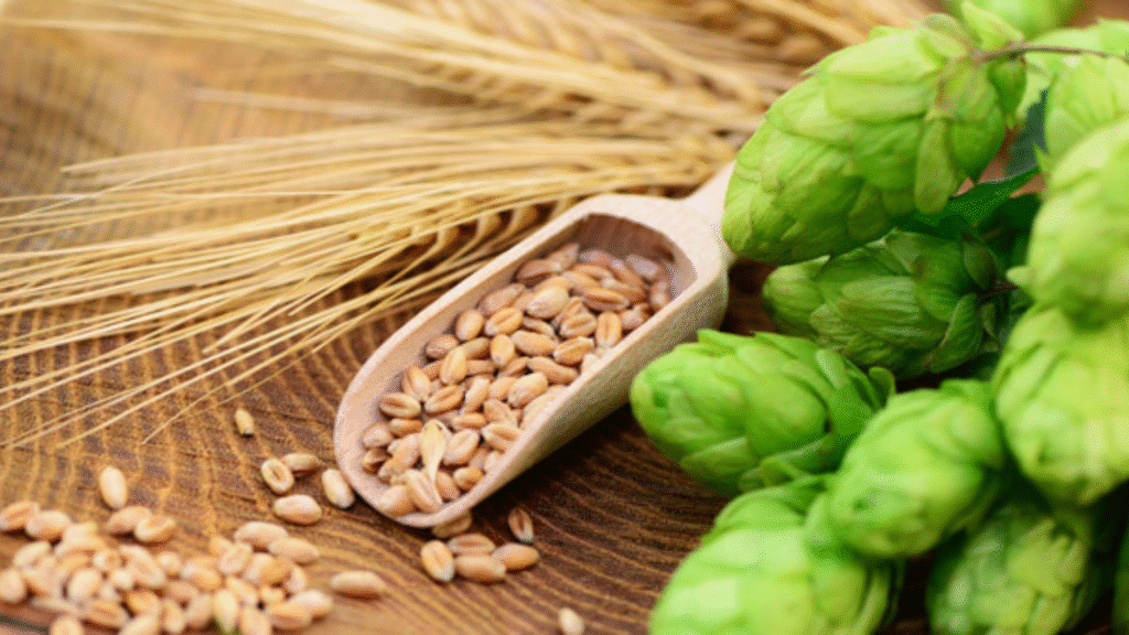 Il malto che regala benessere