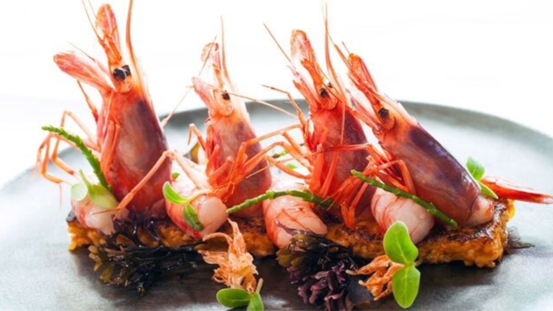 Crostacei, istruzioni per l’uso