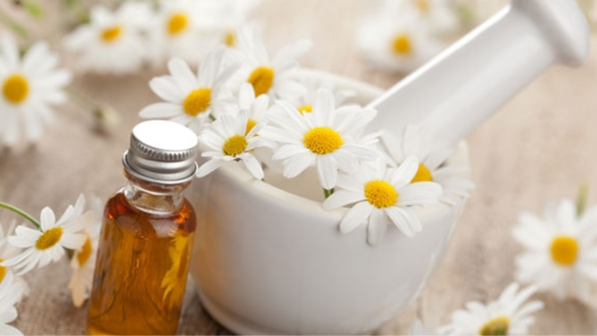 I fiori alleati della digestione