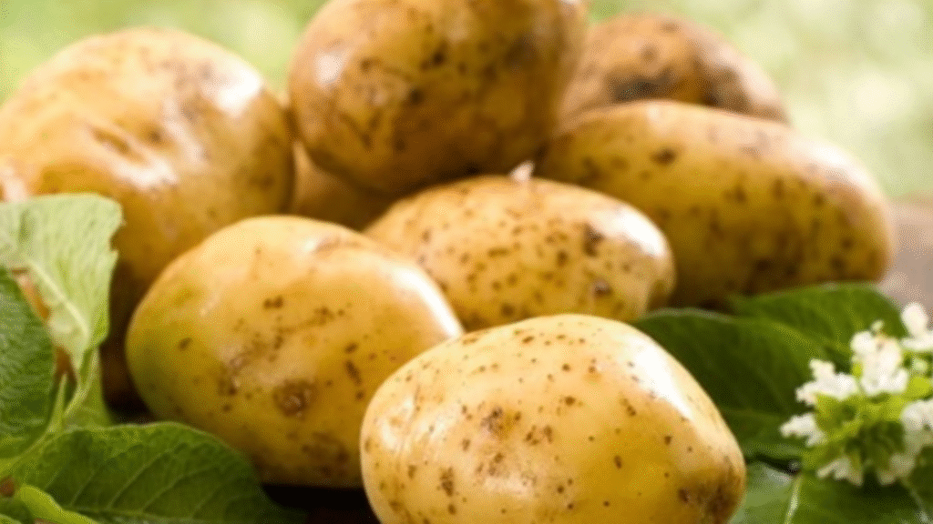 La patata: un toccasana contro acidità e colon irritabile