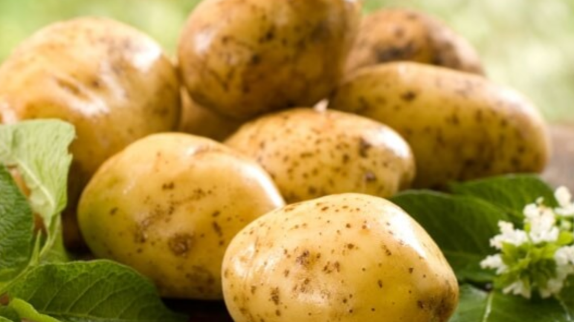 La patata: un toccasana contro acidità e colon irritabile