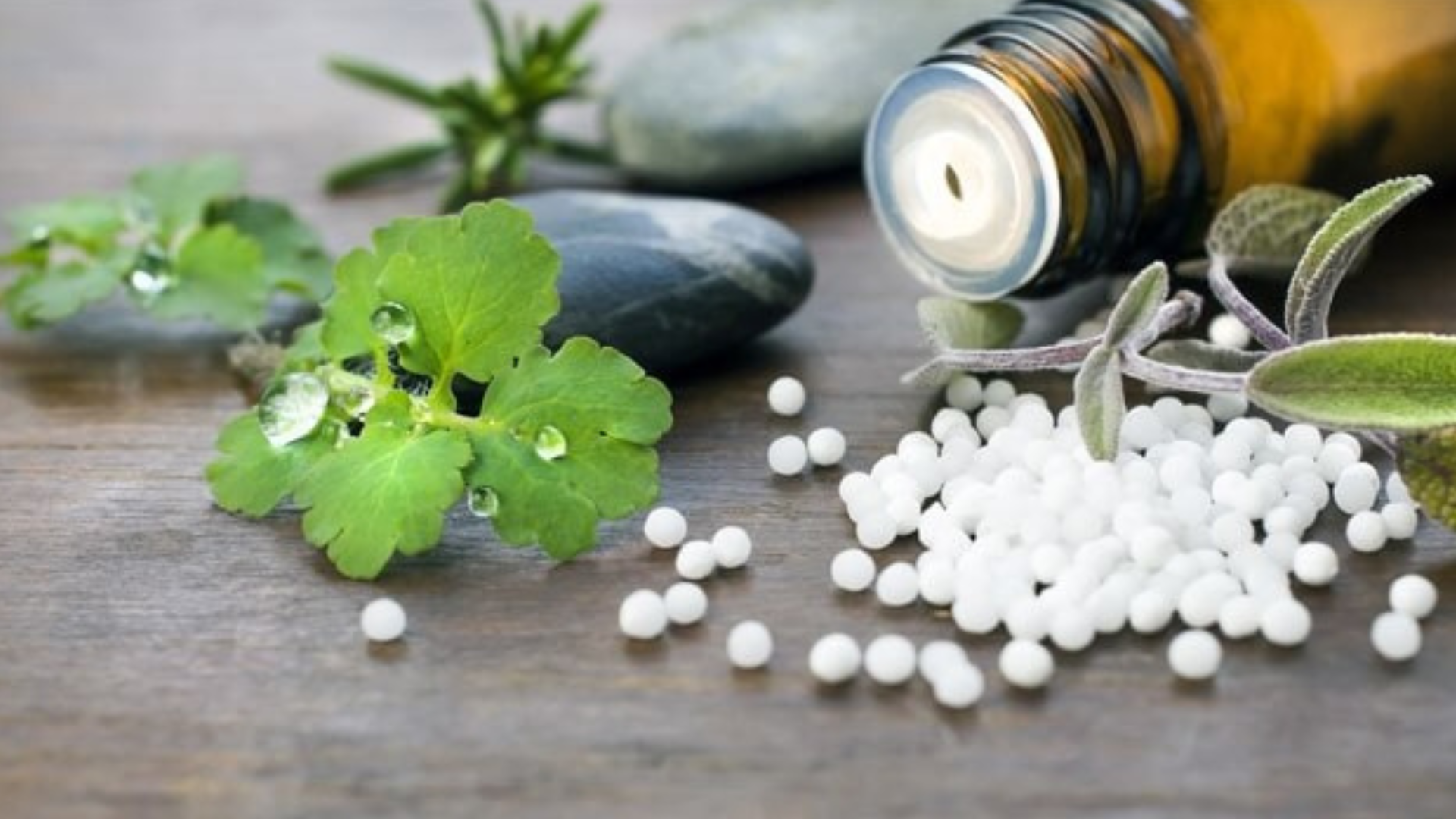 L’omeopatia in soccorso del fegato