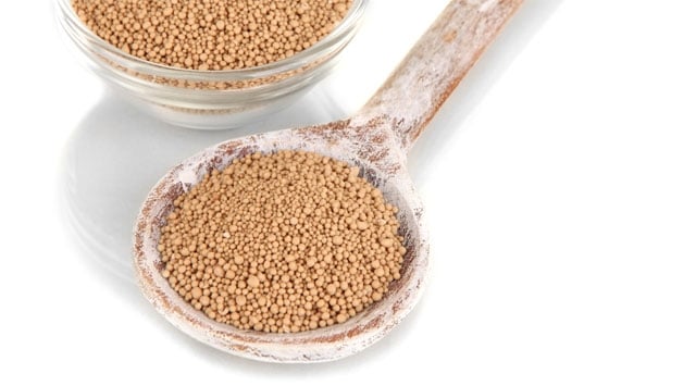 Lievito di birra, l’integratore degli sportivi