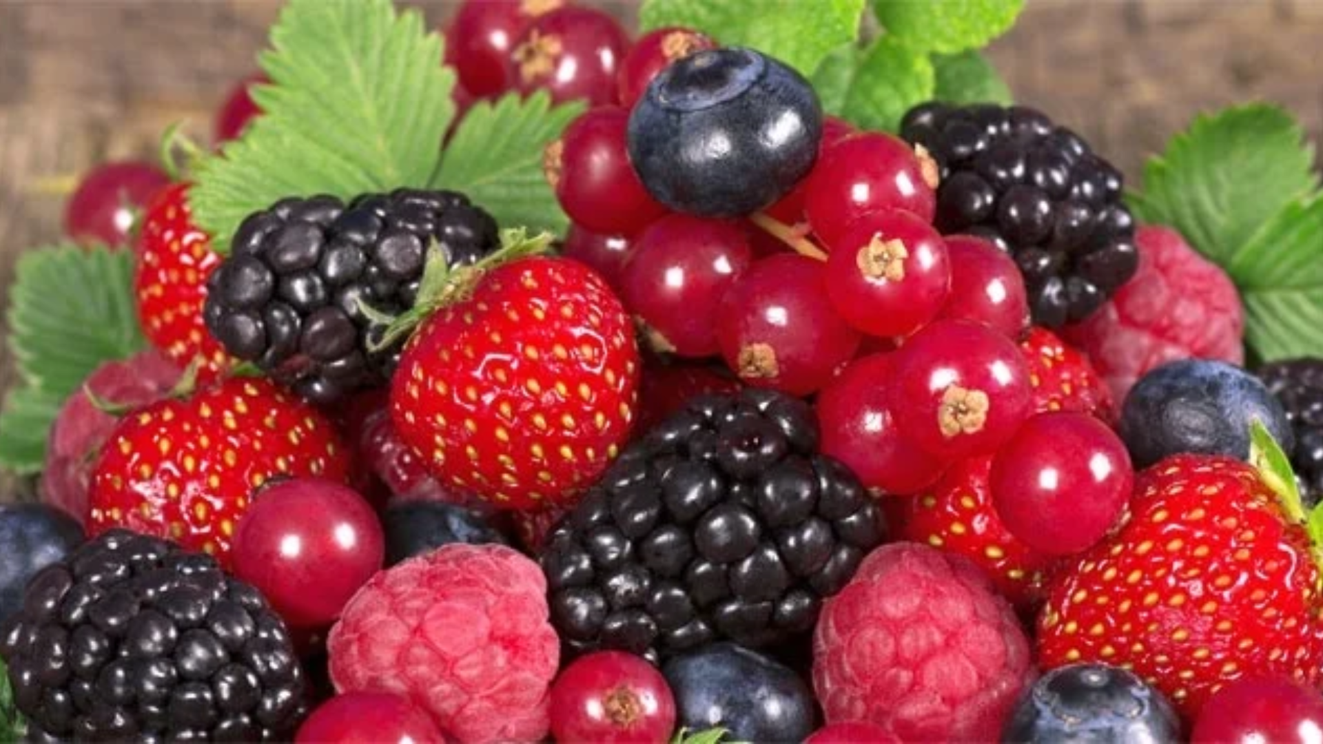 La top ten degli antiossidanti