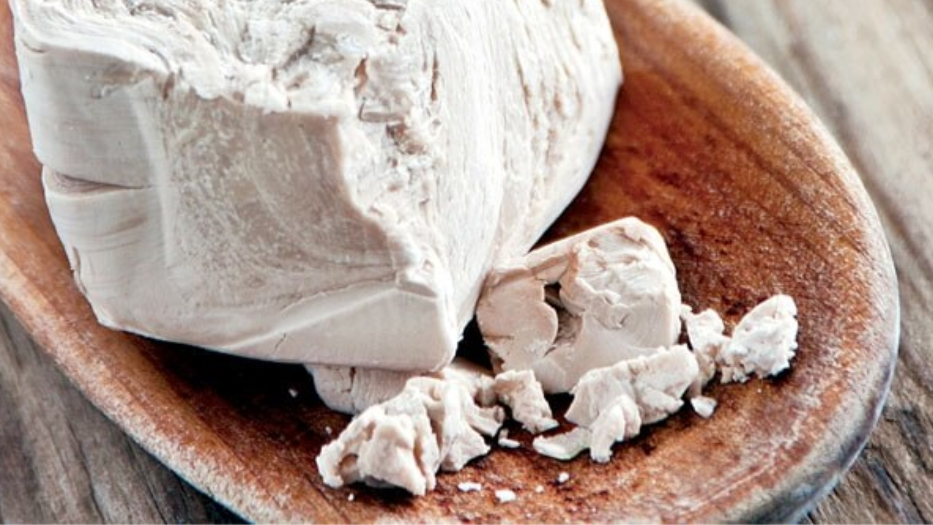 Intestino regolare con il lievito di birra