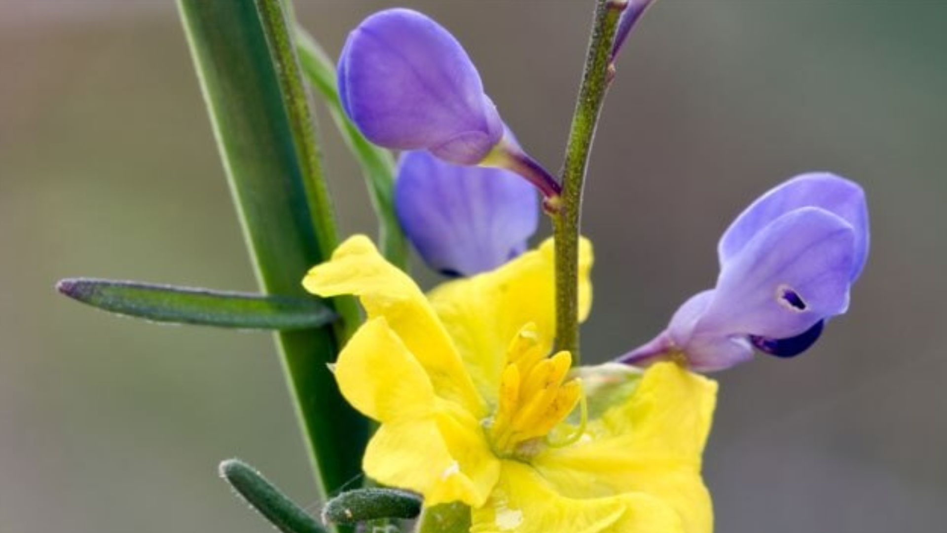 Il rimedio per tenere a bada artrosi e mal di schiena