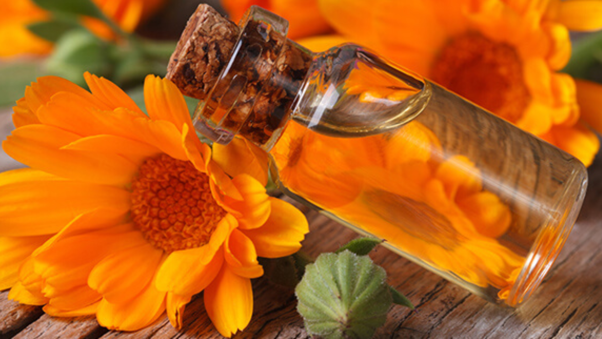 3 oli essenziali contro paura, rabbia, dolore