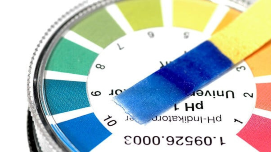 Il tuo ph è alcalino?