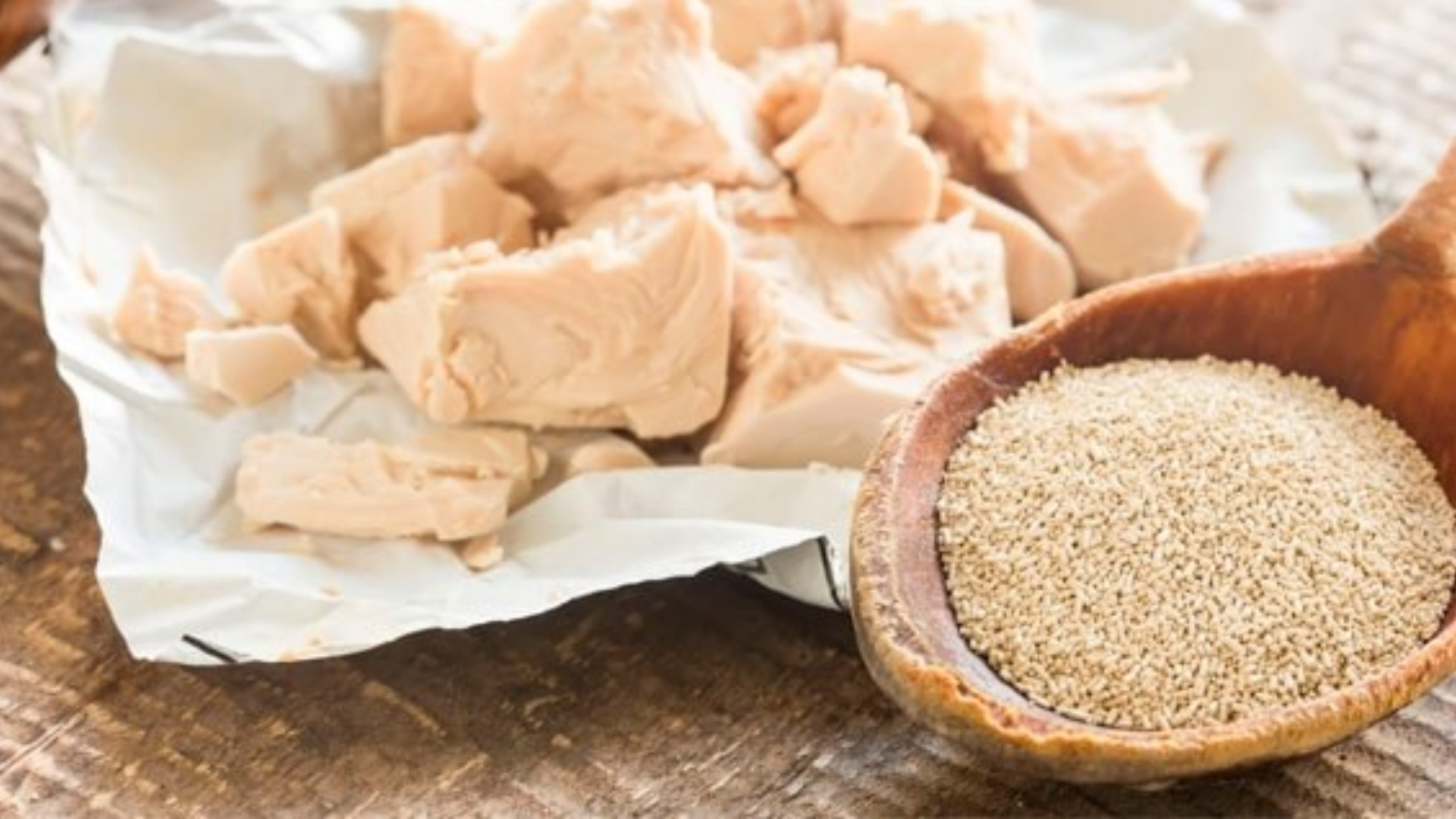 Lievito di birra: proprietà, benefici, usi