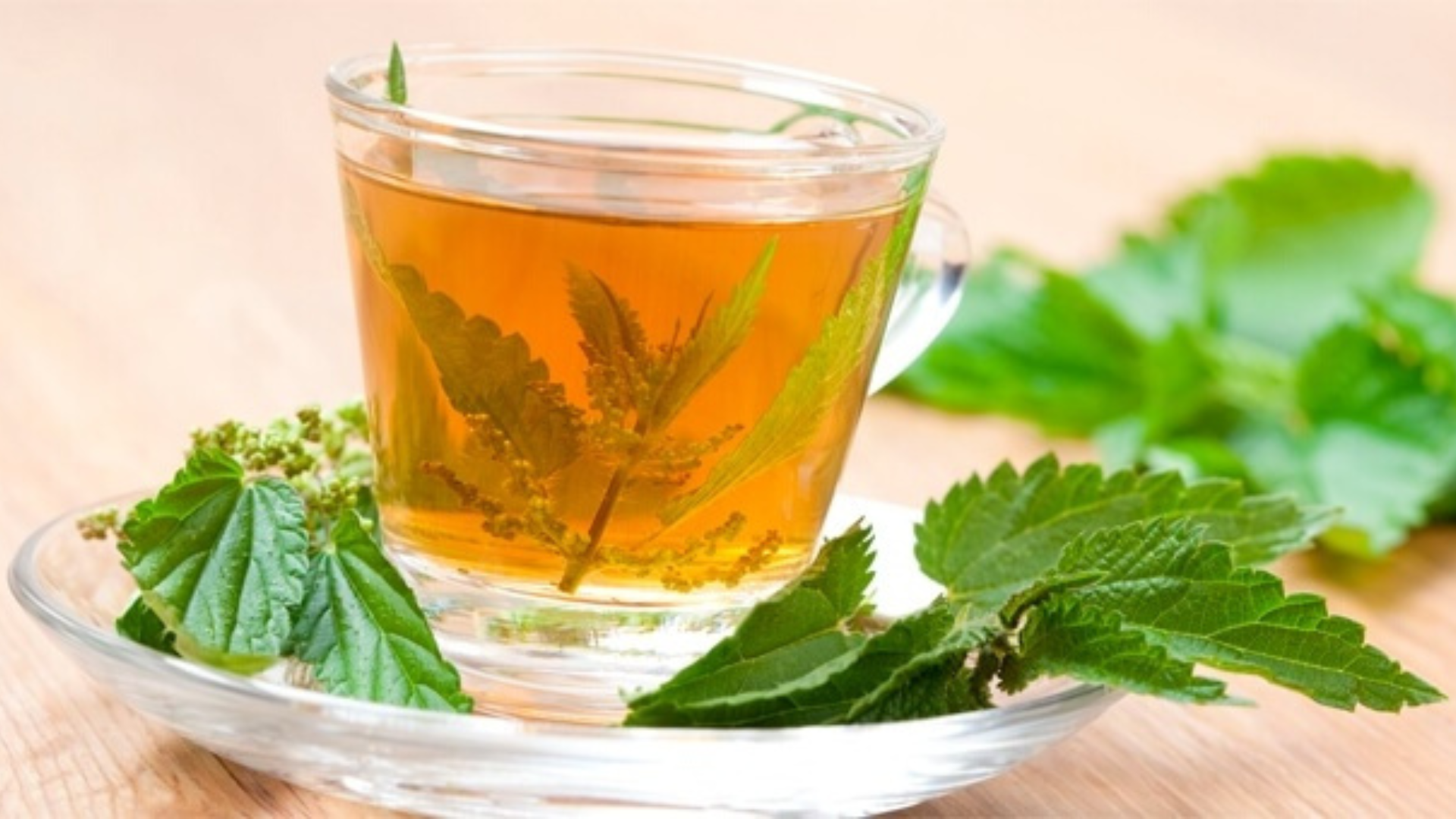 Con l’ortica ripulisci circolo, reni e vescica