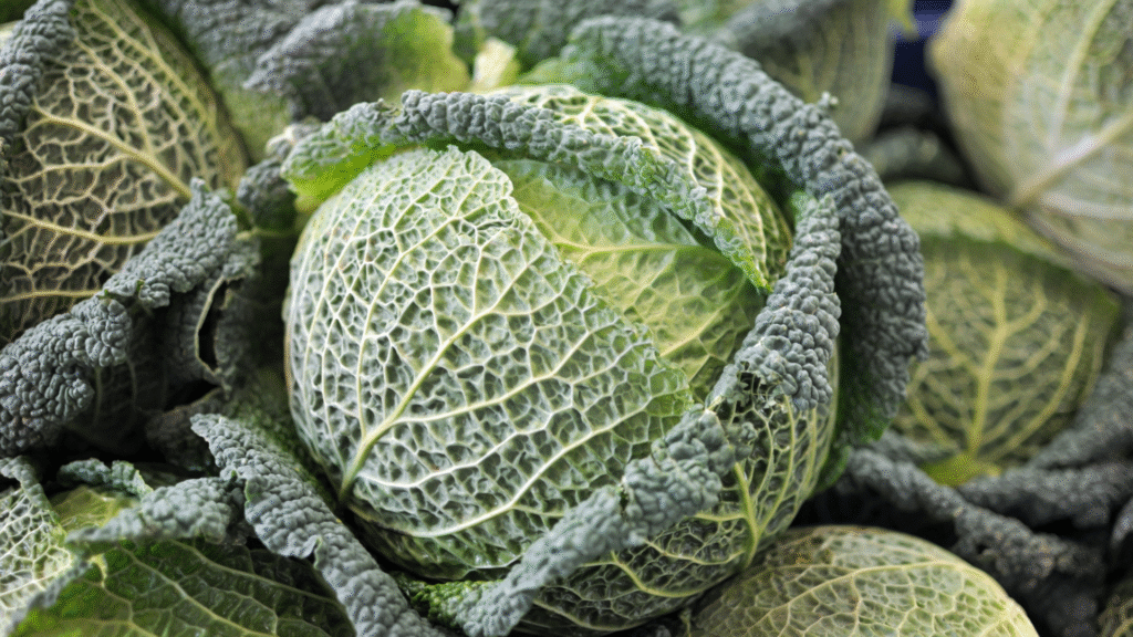 Cavolo verza: utile contro la stitichezza, migliora la digestione e combatte le ulcere