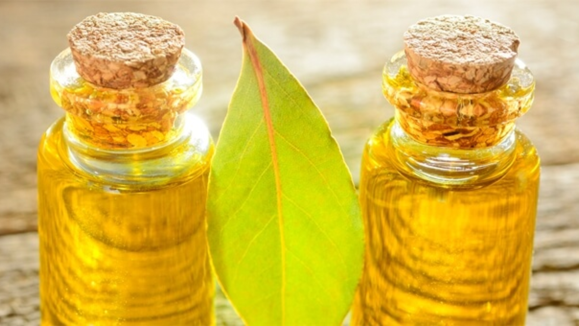 Con l’alloro proteggi ossa e articolazioni