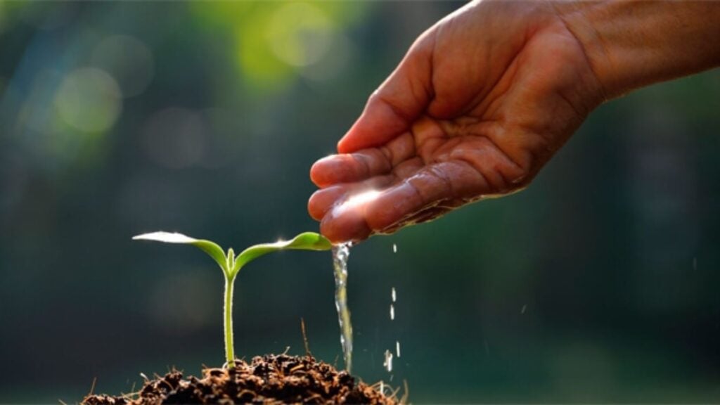 Come faccio a scoprire il mio talento?