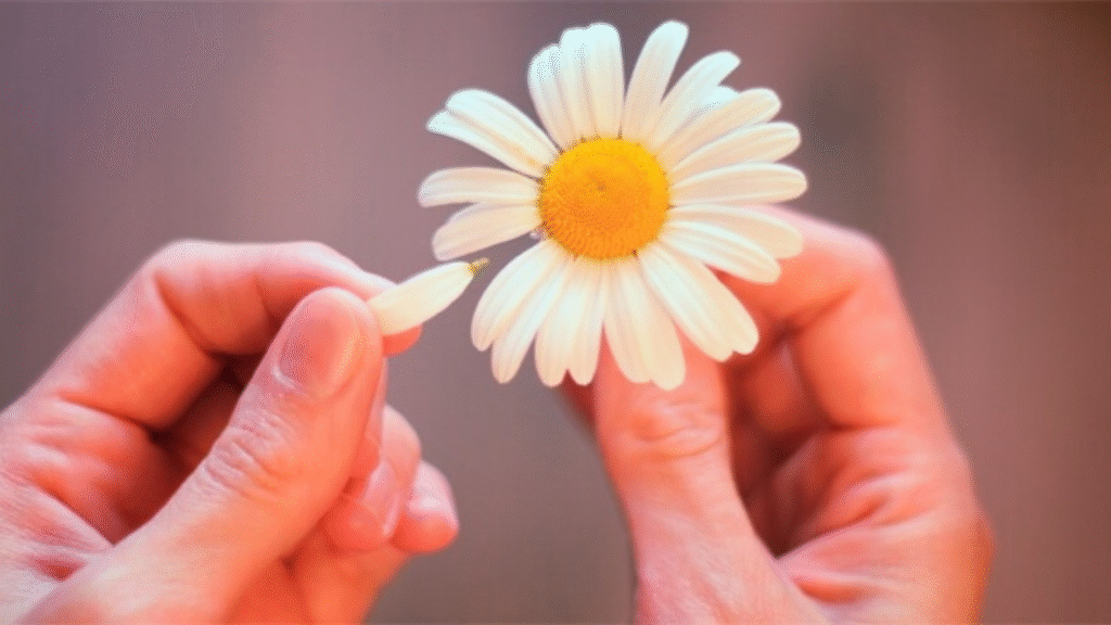 Con lui la sicurezza, con l'altro la passione. Che faccio?