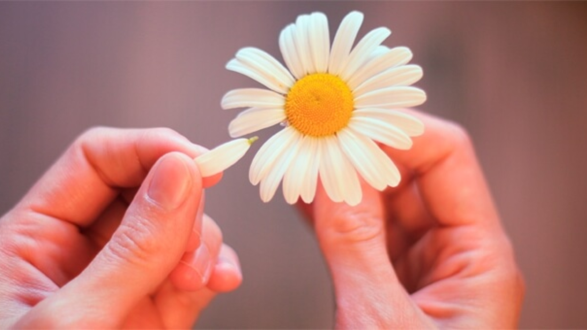 Con lui la sicurezza, con l’altro la passione. Che faccio?