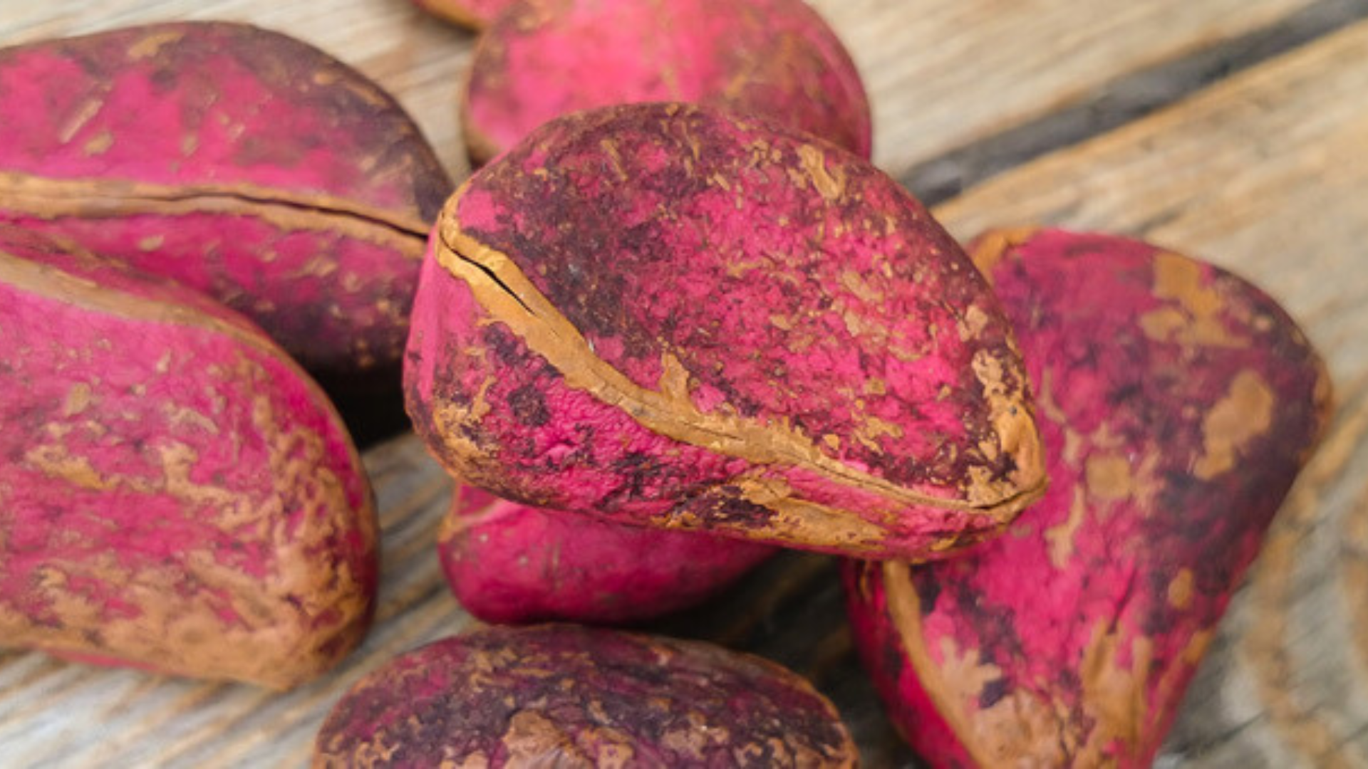 Cola: l’eccezionale stimolante che aiuta a dimagrire