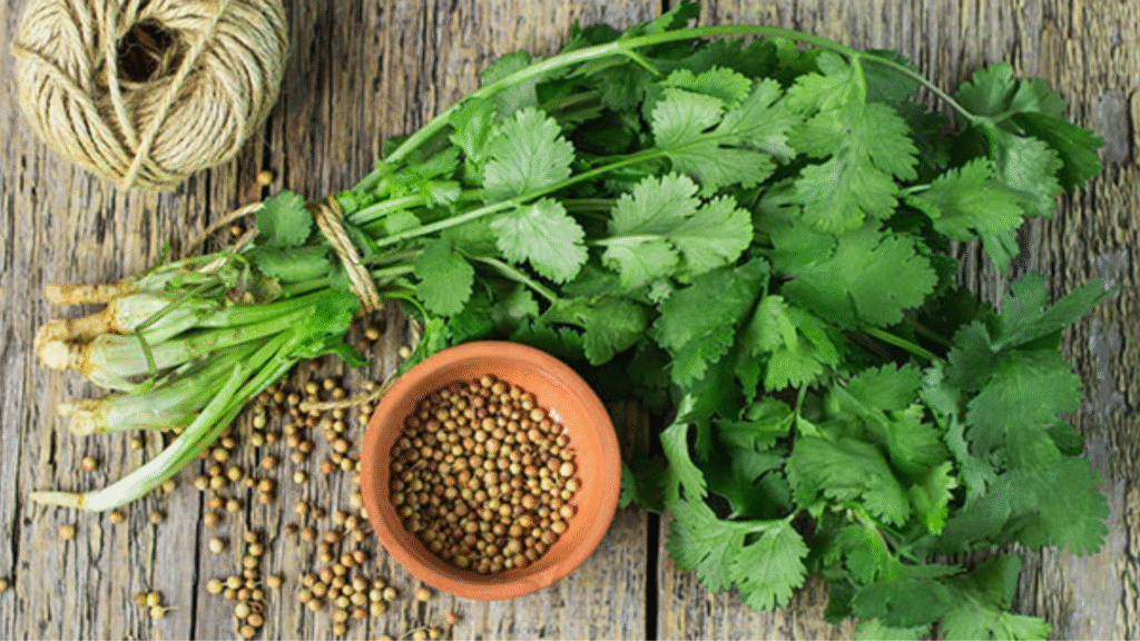 Tutti i metodi naturali per eliminare i metalli pesanti