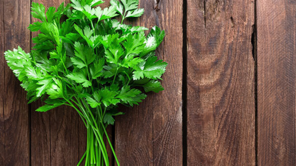 Prezzemolo, l'erba aromatica ricca di vitamine che favorisce la digestione