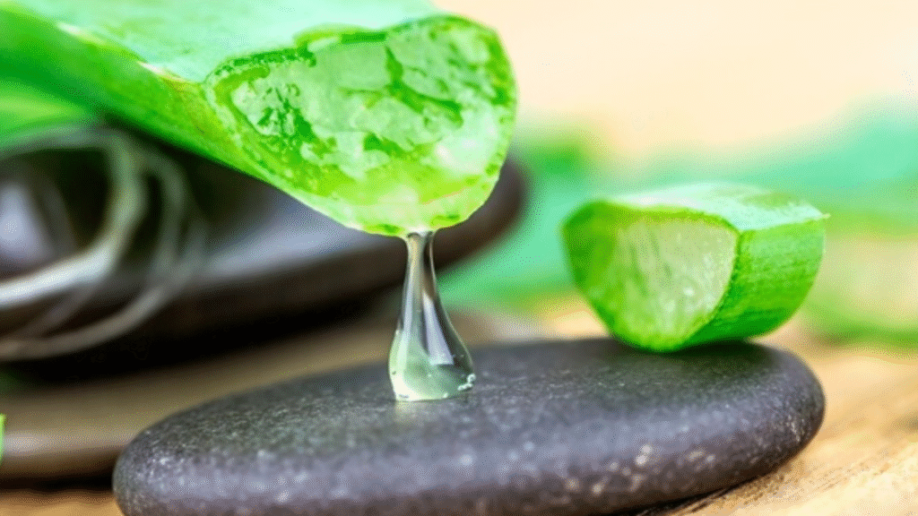 Con l'aloe vera dici addio a eczemi e irritazioni