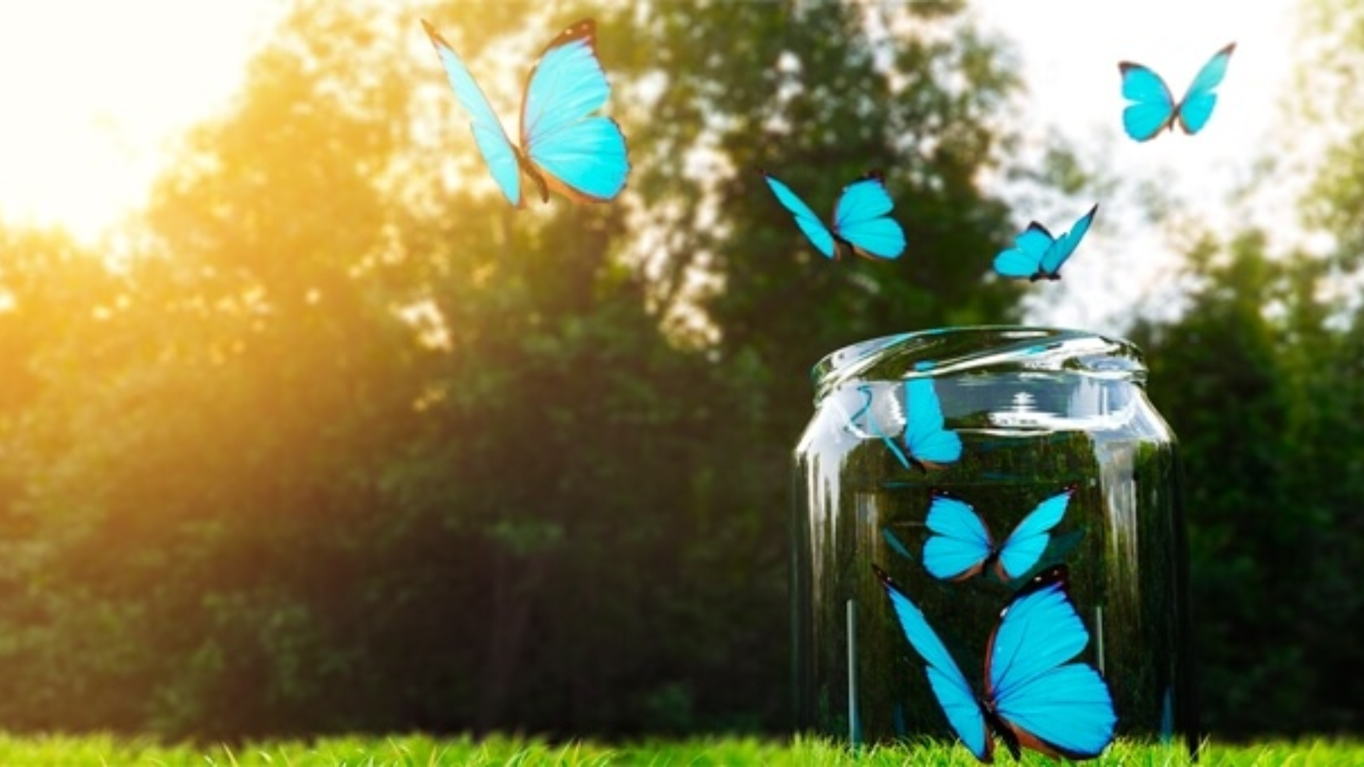 Rinascita: se un sogno suggerisce la via