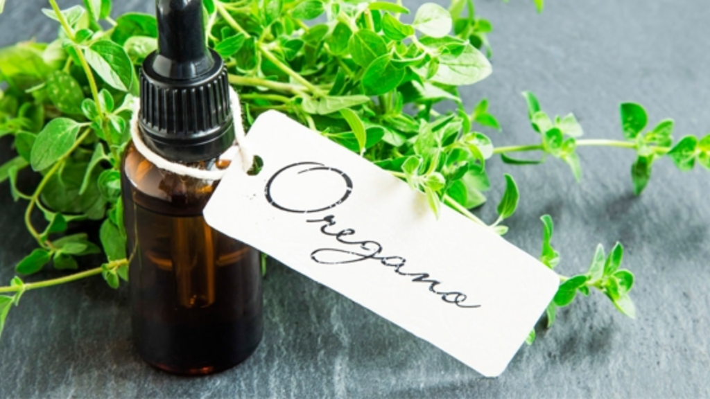 Alt al meteorismo con l'olio essenziale di origano