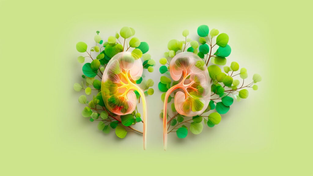 Depura-i-reni-ecco-come-fare