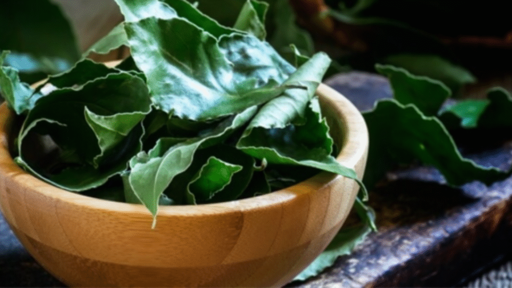 L'alloro, il tuo insetticida naturale