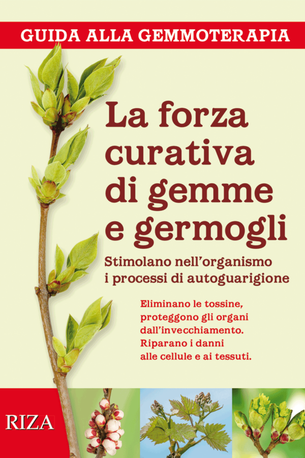 La forza curativa di gemme e germogli