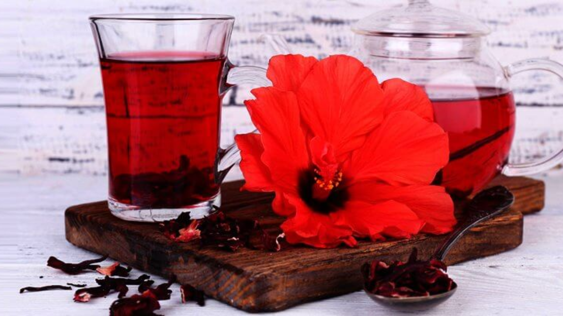 Con tre tazze di karkadè la pressione si stabilizza