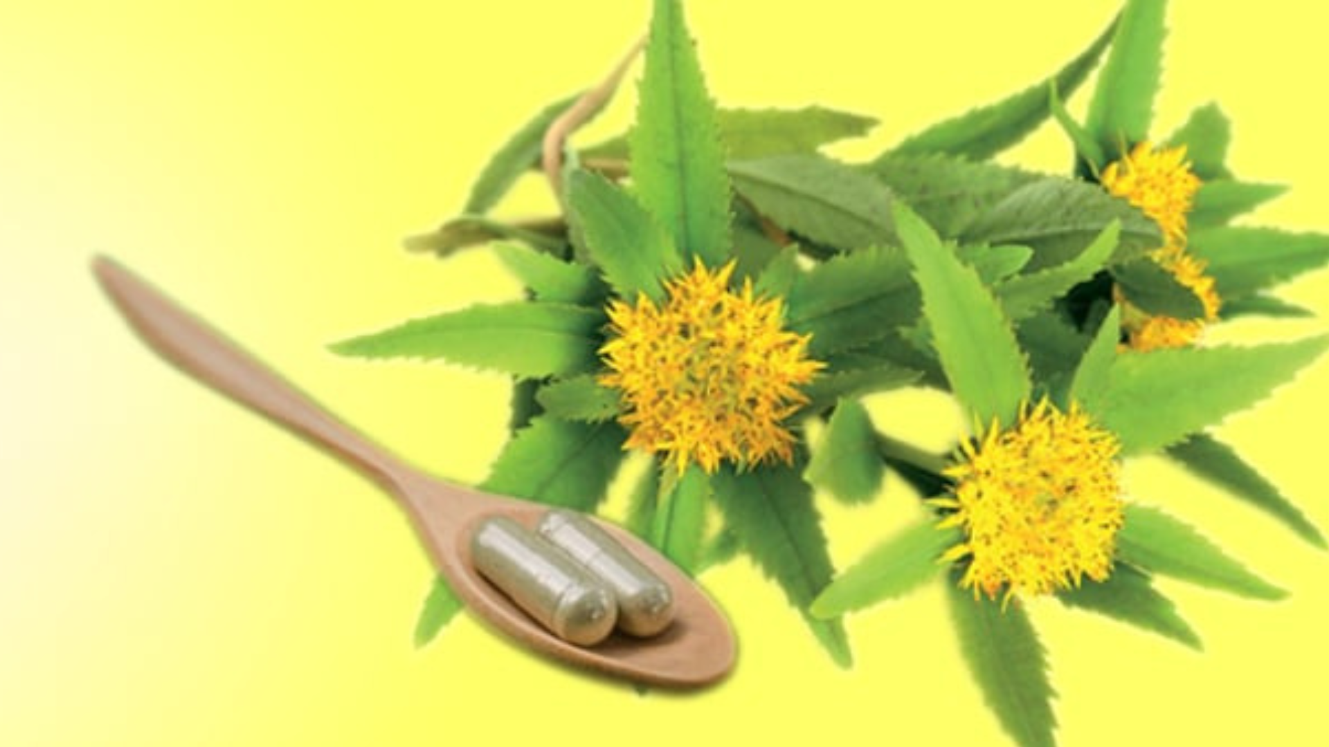 Argento colloidale e rodiola ti difendono dalla sinusite