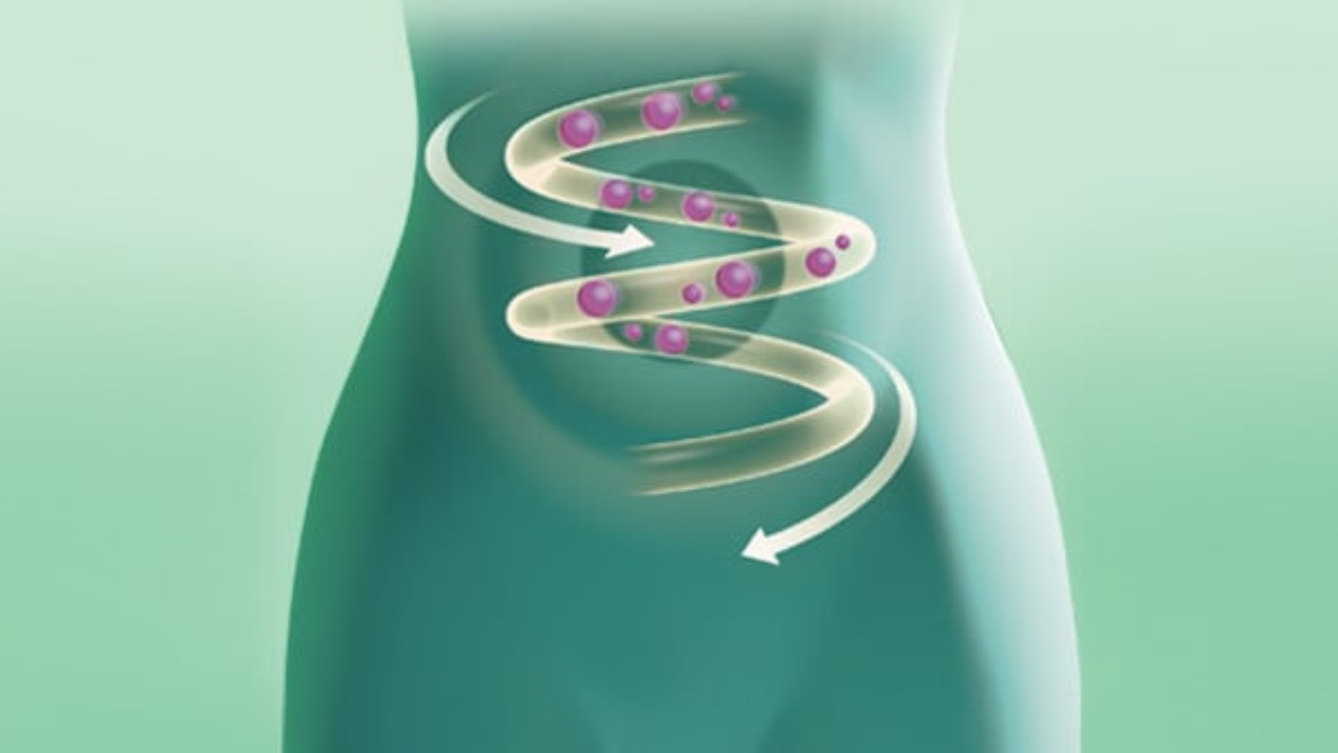 Semi di lino, gli spazzini del colon
