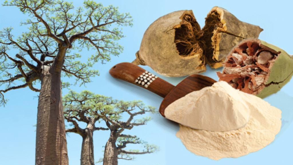Con il baobab depuri il colon e dimagrisci