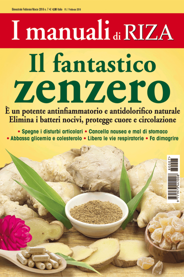 Il fantastico zenzero