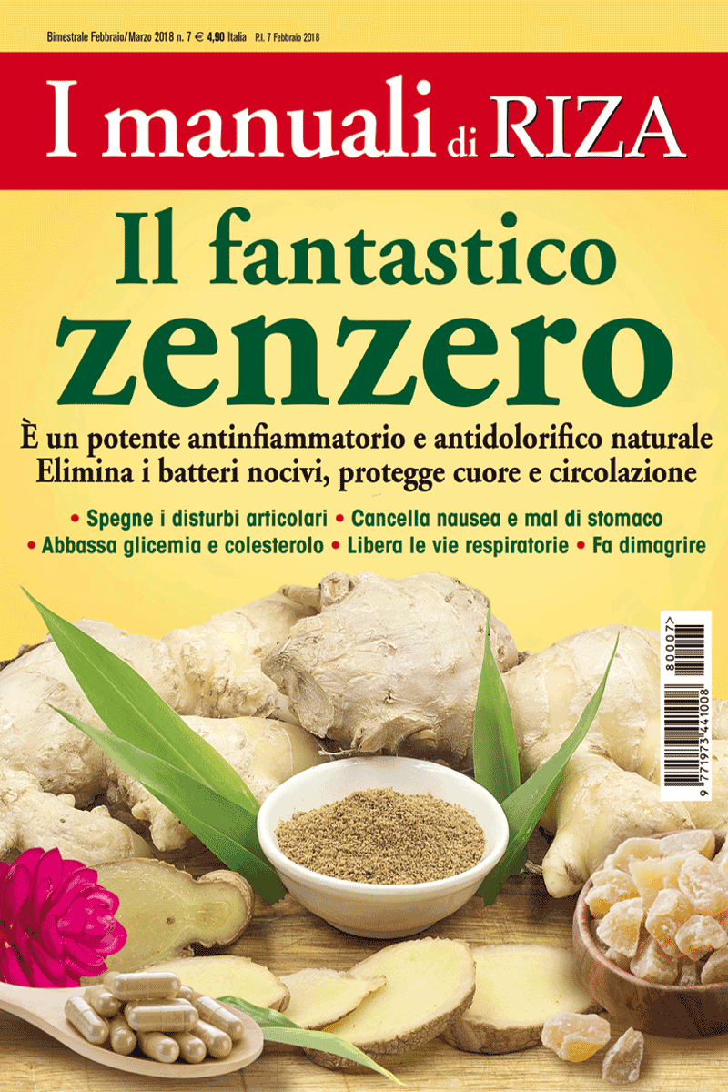 Il fantastico zenzero