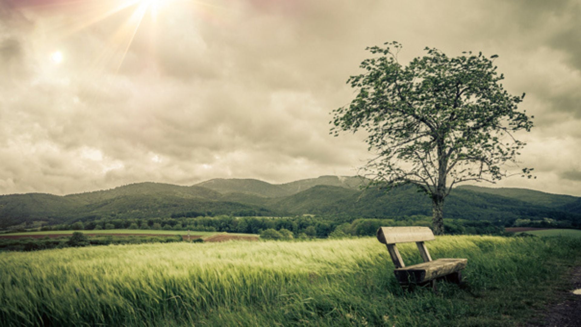 Lutto: superare il dolore di una perdita