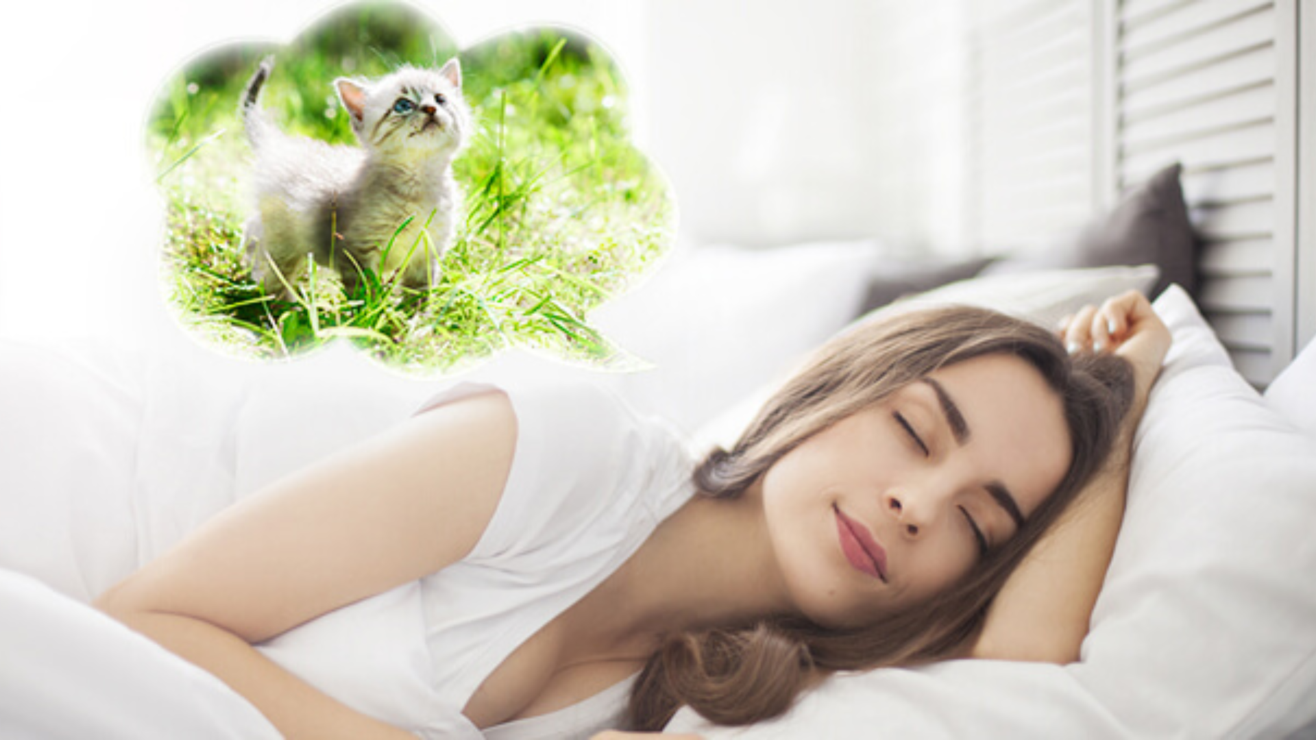 Quando nei sogni compaiono gli animali