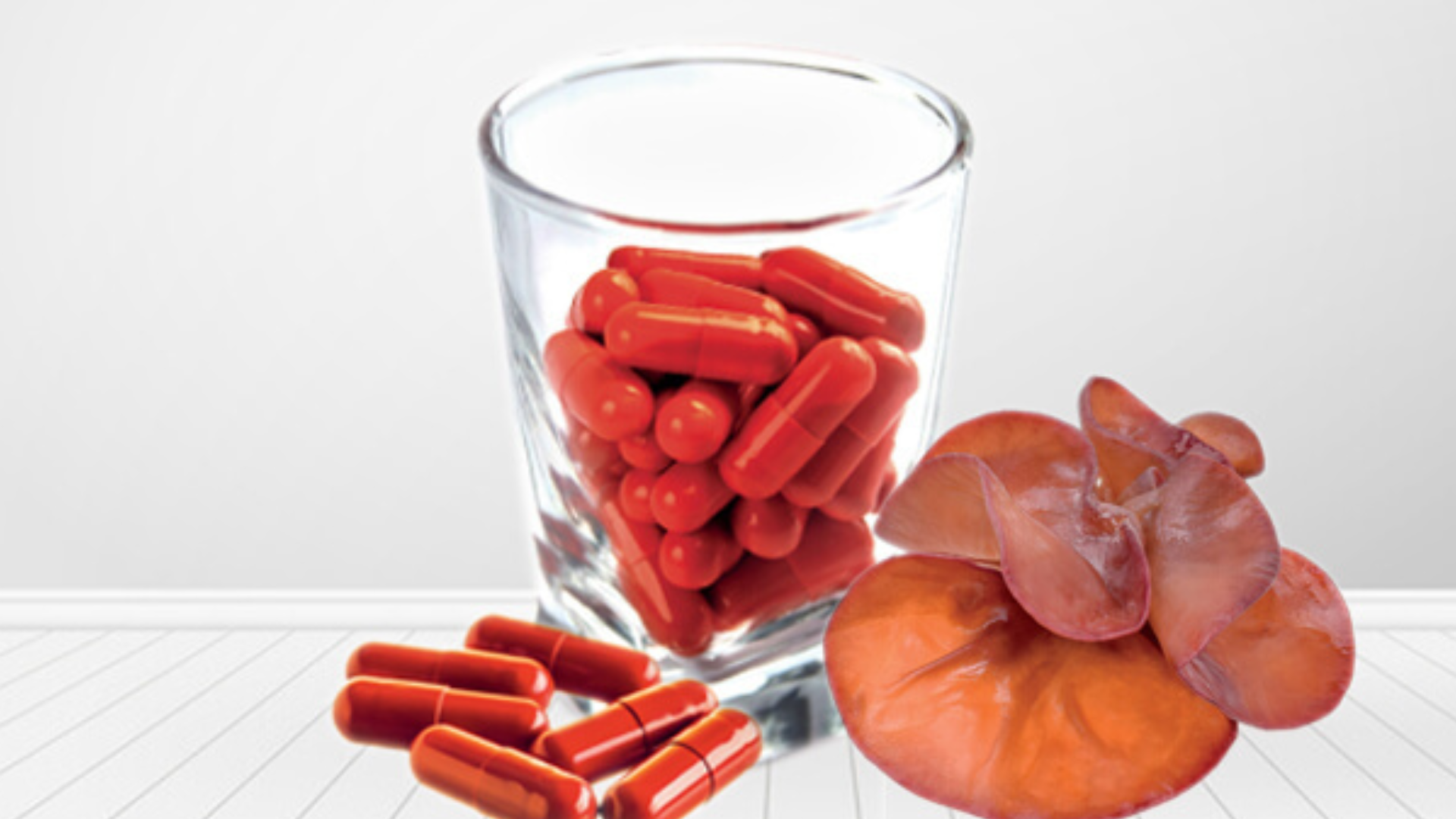 Auricularia, l’integratore che pulisce e fluidifica il sangue