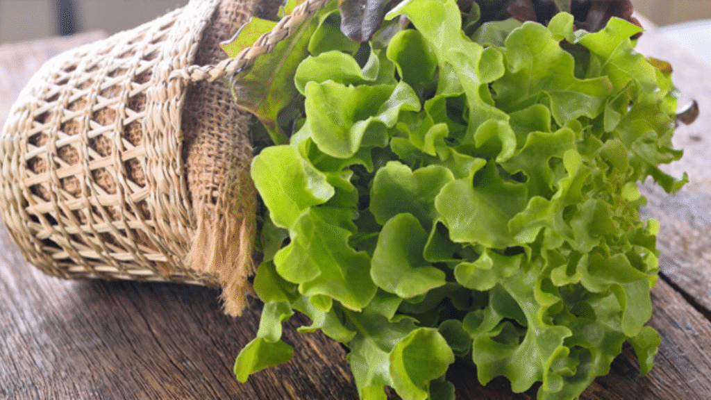 Lattuga: proprietà e benefici dell'insalata più famosa