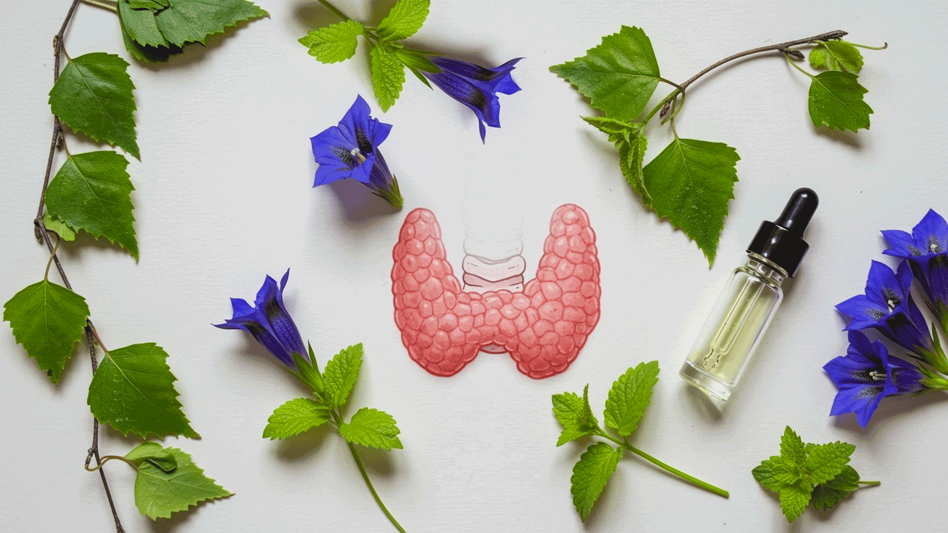 Scopri tutti i rimedi naturali per curare la tiroide