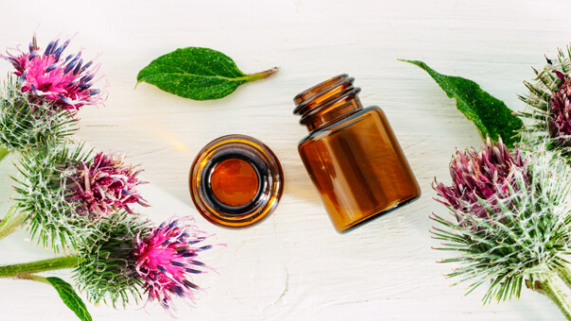 Bardana: tutti gli usi, le proprietà, le controindicazioni